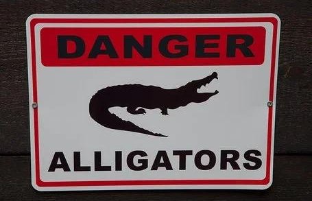 dangerous的名词形式