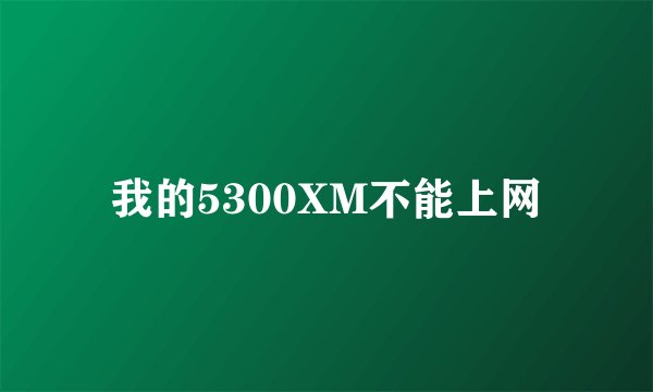 我的5300XM不能上网