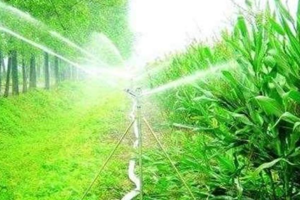 灌水法是什么？