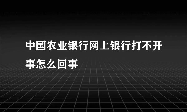 中国农业银行网上银行打不开事怎么回事