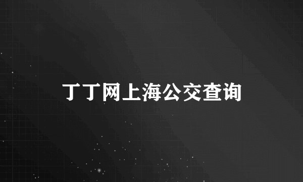 丁丁网上海公交查询