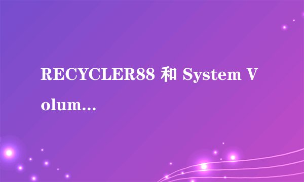 RECYCLER88 和 System Volume Information