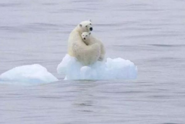 当前国际社会讨论气候变化问题主要是指