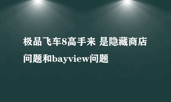 极品飞车8高手来 是隐藏商店问题和bayview问题