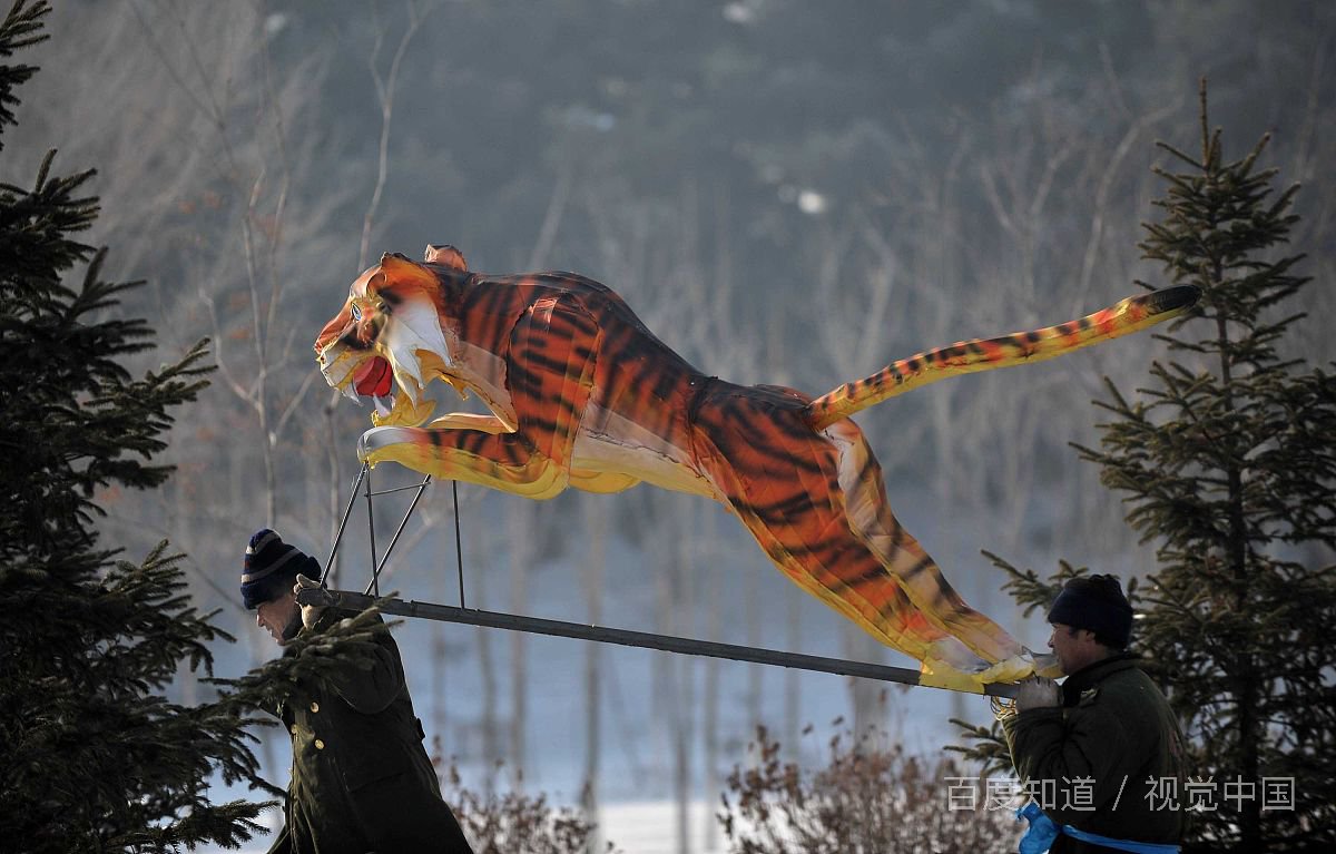 四蹄奔奔是什么生肖?