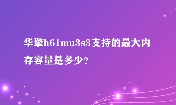 华擎h61mu3s3支持的最大内存容量是多少？