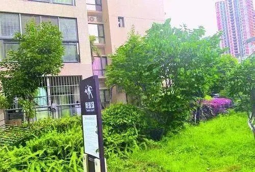 四川一小区绿化带发现男尸床上非常凌乱？死前经历了什么？