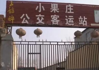 村民搬离后的小果庄村一片凄冷，这里的猫狗都是怎么安排的？