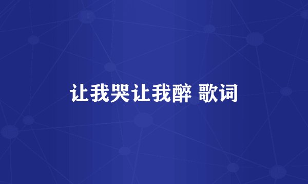 让我哭让我醉 歌词