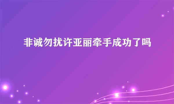 非诚勿扰许亚丽牵手成功了吗