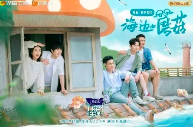 向往的生活第六季为什么没更新