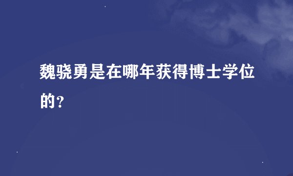 魏骁勇是在哪年获得博士学位的？