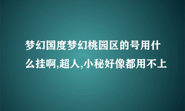 梦幻国度梦幻桃园区的号用什么挂啊,超人,小秘好像都用不上
