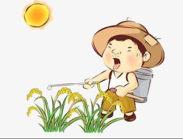 印度不明原因怪病初步调查结果出炉,主要反映出了什么问题?