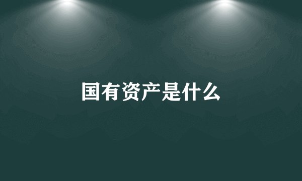 国有资产是什么