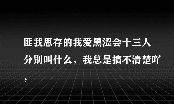 匪我思存的我爱黑涩会十三人分别叫什么，我总是搞不清楚吖，