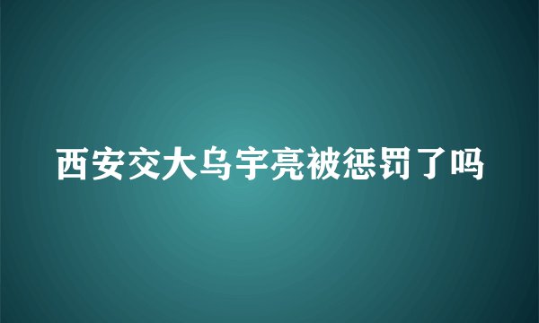 西安交大乌宇亮被惩罚了吗