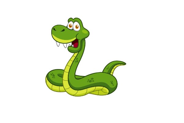 起居无时猜一生肖