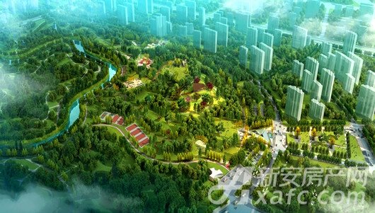 工大森林的介绍