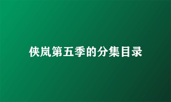 侠岚第五季的分集目录