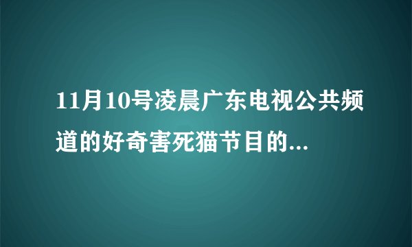 11月10号凌晨广东电视公共频道的好奇害死猫节目的林晓容最后是什么结局？