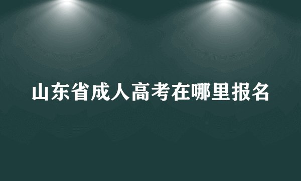 山东省成人高考在哪里报名