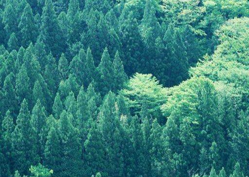 层林叠翠是什么意思