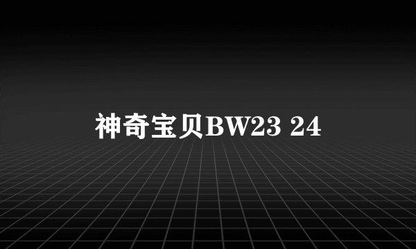 神奇宝贝BW23 24