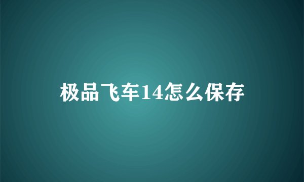 极品飞车14怎么保存