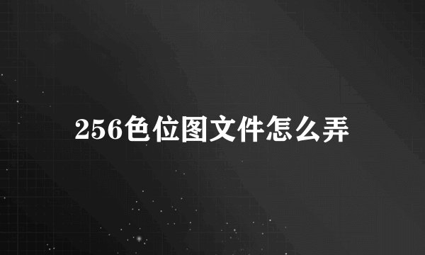 256色位图文件怎么弄