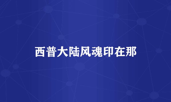 西普大陆风魂印在那