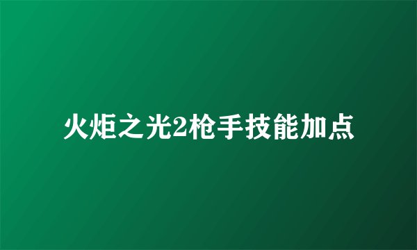 火炬之光2枪手技能加点
