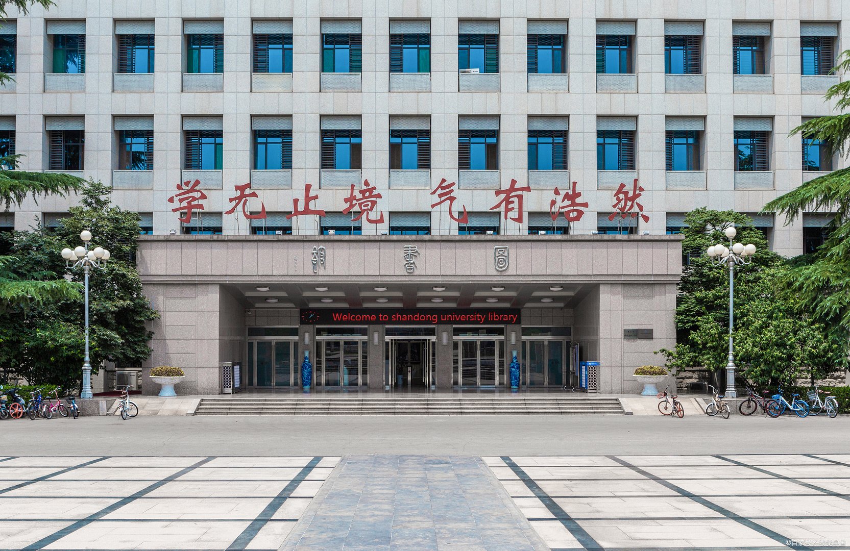 山东警察学院2021年录取分数线