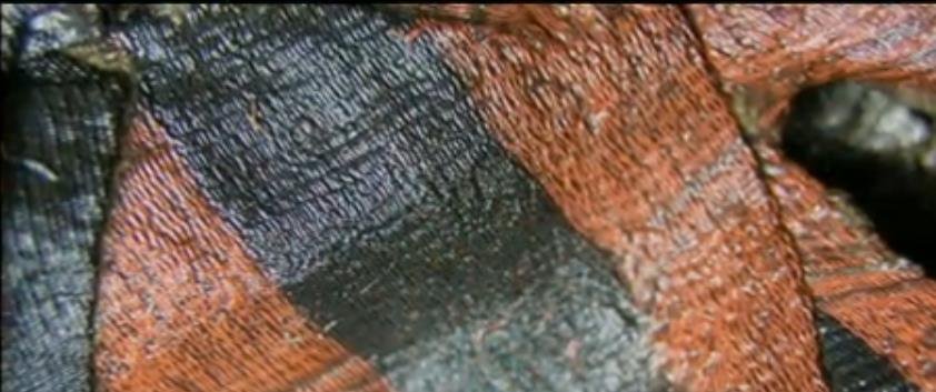 山村惊现春秋大墓，有着47具棺木，有怎样的意义？