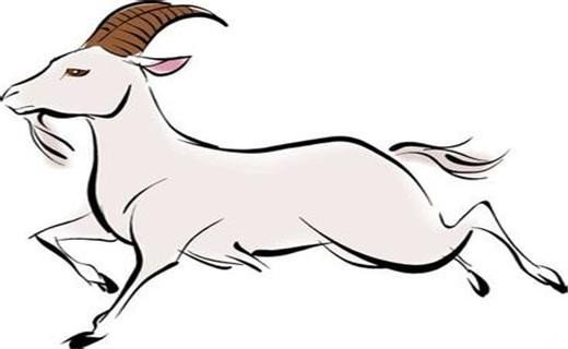 软硬不吃解一生肖