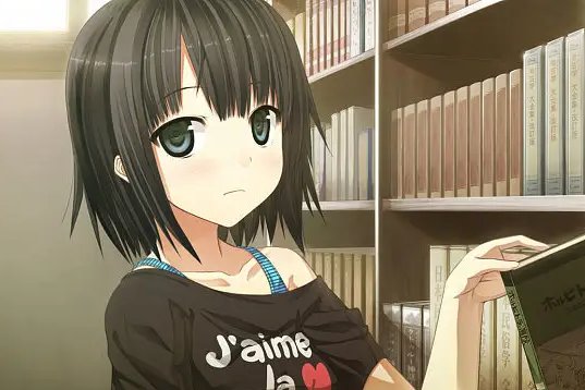 图书室里的女朋友未增删带翻译的全集