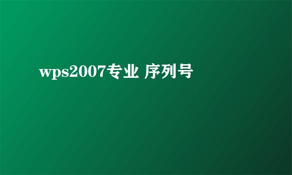 wps2007专业 序列号