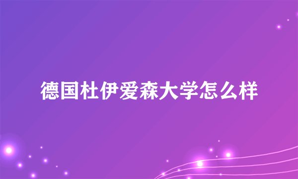 德国杜伊爱森大学怎么样