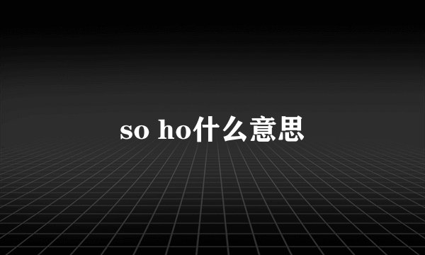 so ho什么意思