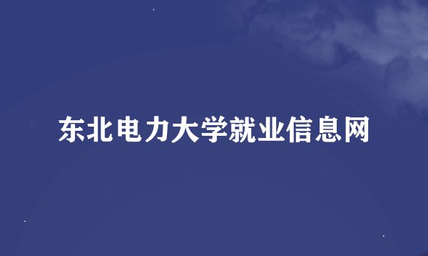 东北电力大学就业信息网