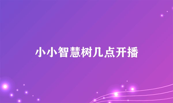 小小智慧树几点开播