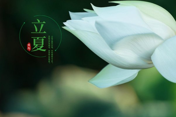 立夏看夏指的什么意思