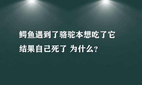 鳄鱼遇到了骆驼本想吃了它 结果自己死了 为什么？