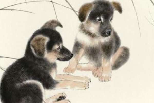 前程似锦的生肖