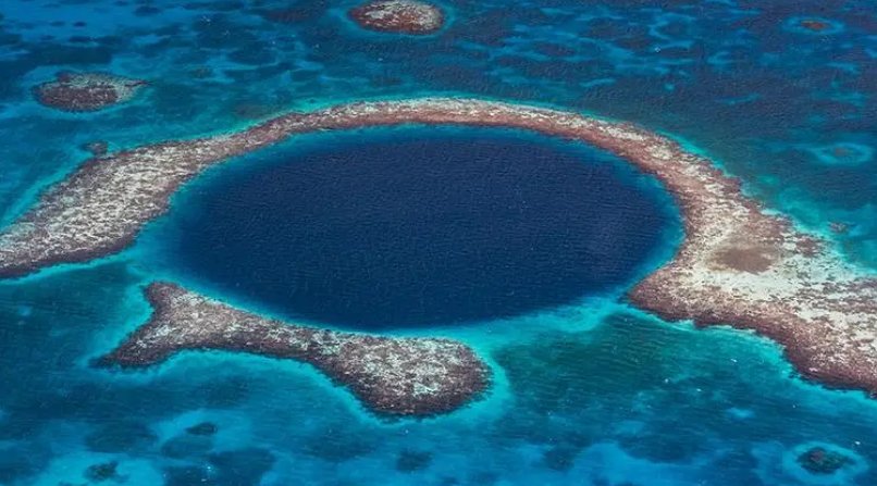 deepsea什么意思中文