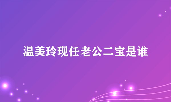 温美玲现任老公二宝是谁