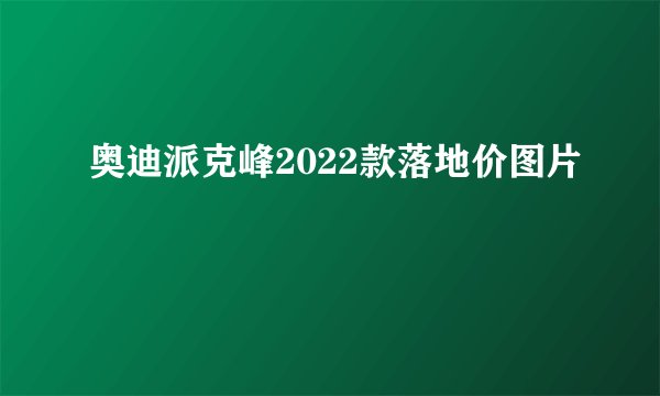 奥迪派克峰2022款落地价图片
