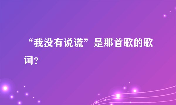 “我没有说谎”是那首歌的歌词？