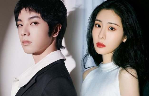 在华晨宇承认与张碧晨有个孩子后，华晨宇粉丝集体脱粉，对此你怎么看？