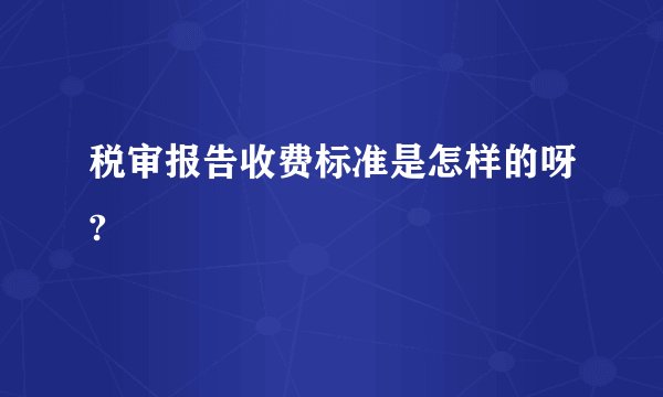 税审报告收费标准是怎样的呀?